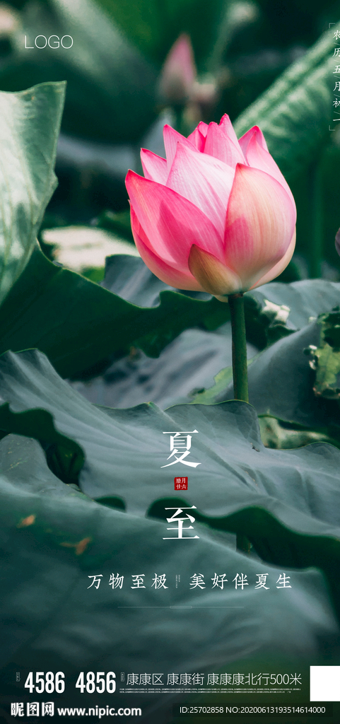 夏至