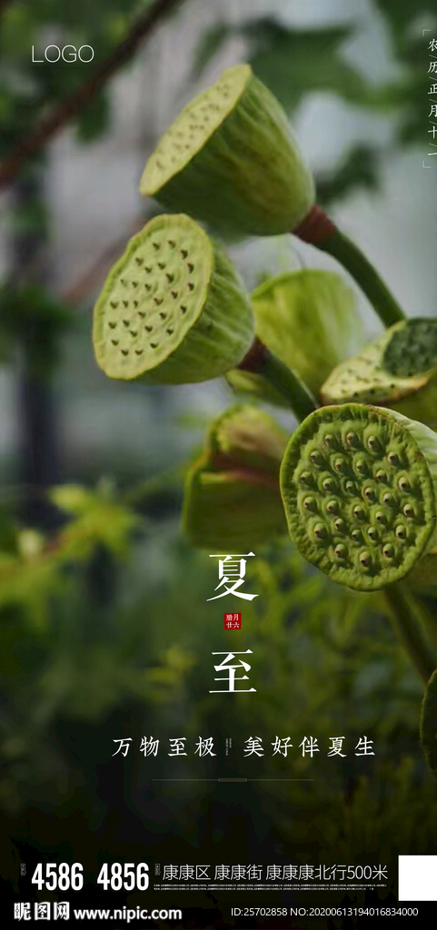 夏至