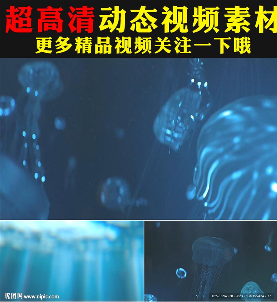 蓝色梦幻海底世界水母游动视频