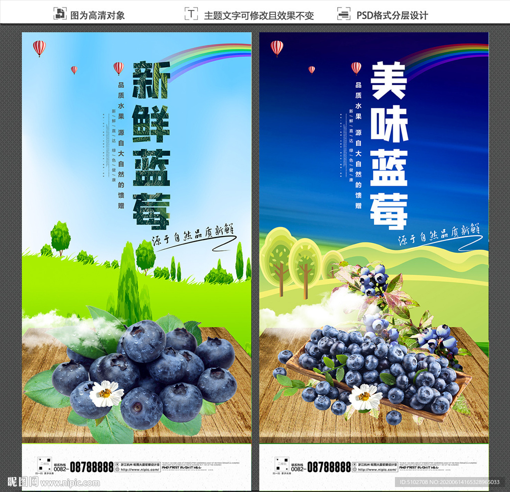蓝莓海报