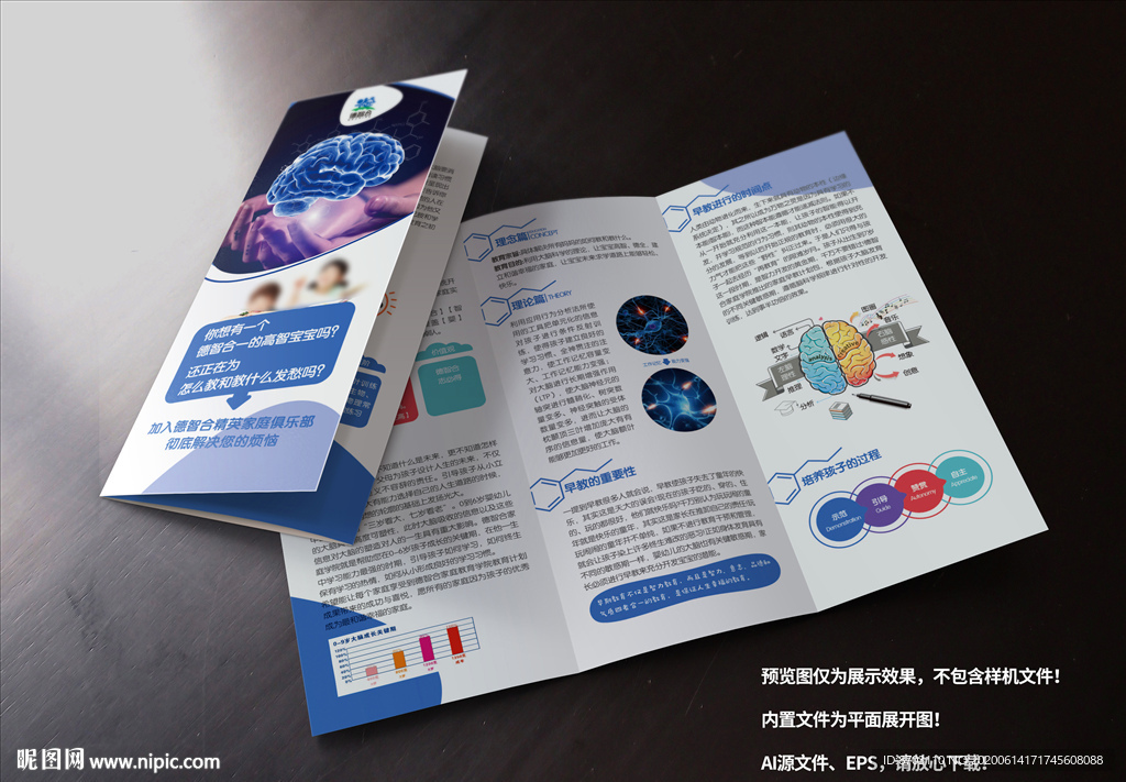 全脑开发 三折页