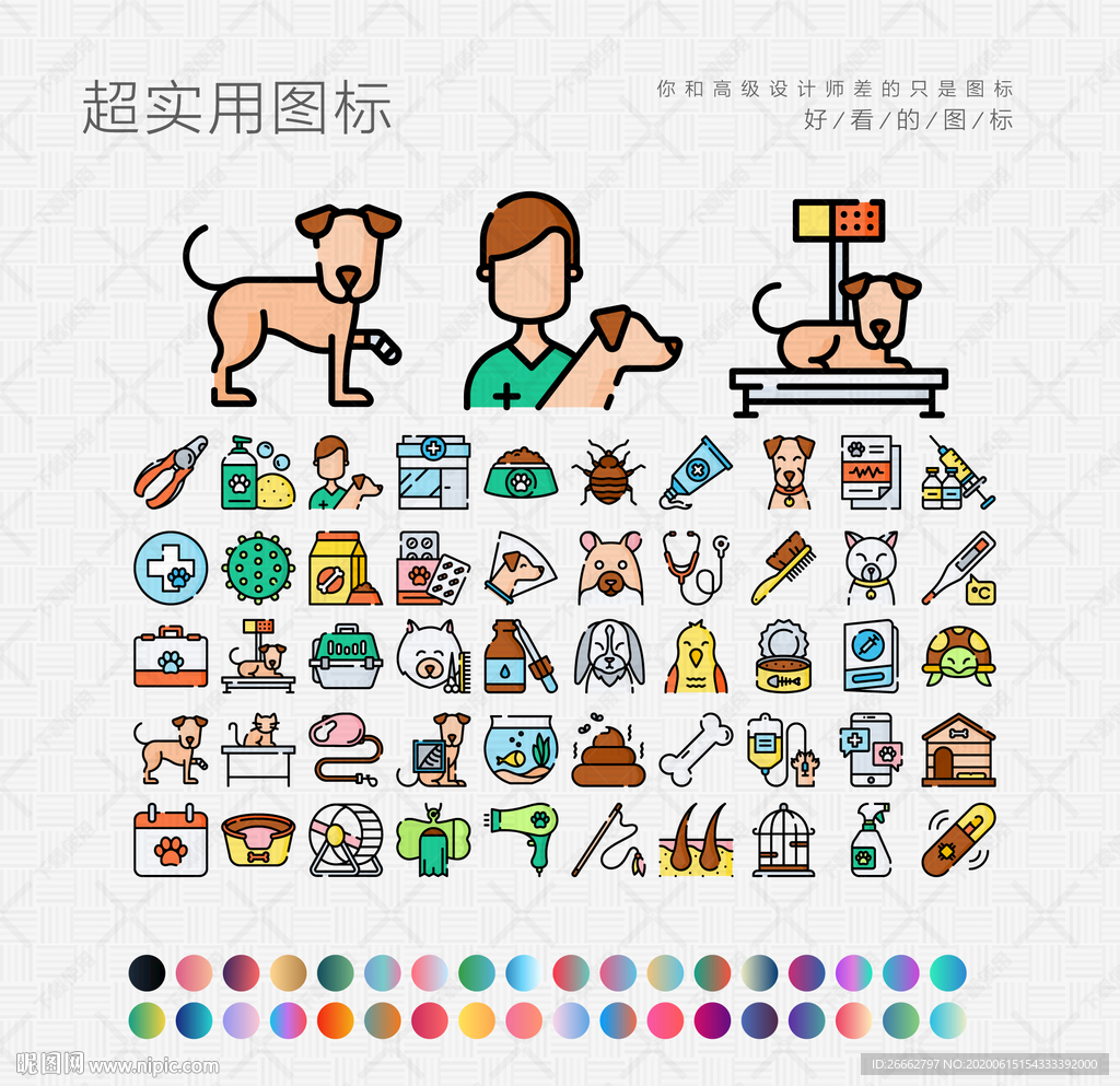 宠物