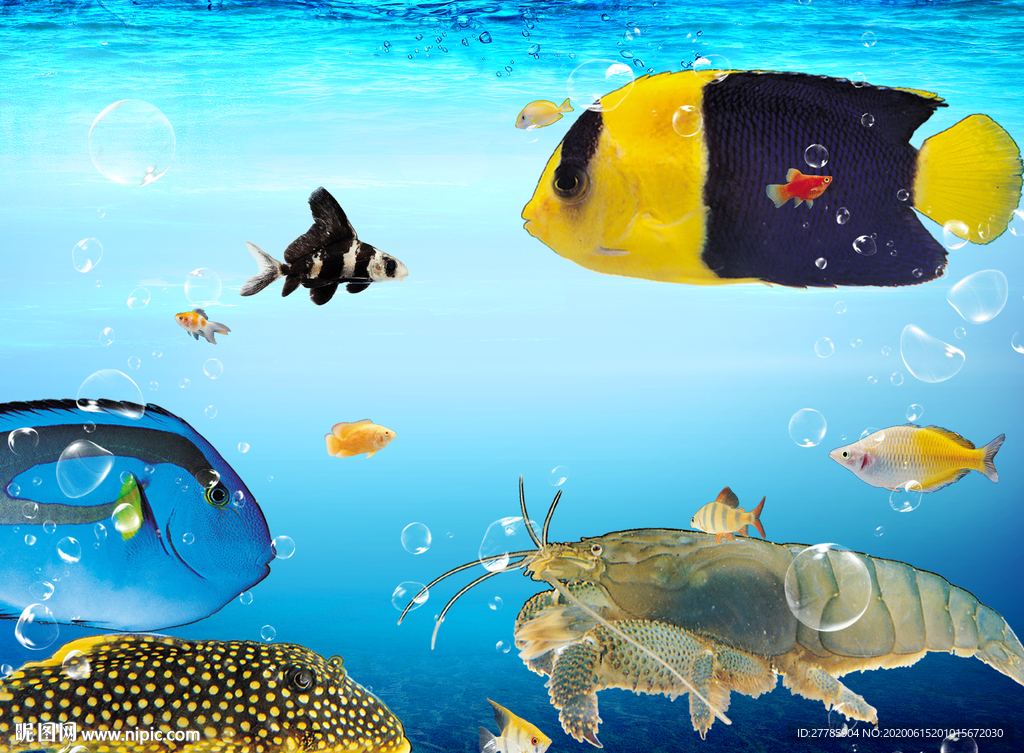 海底生物