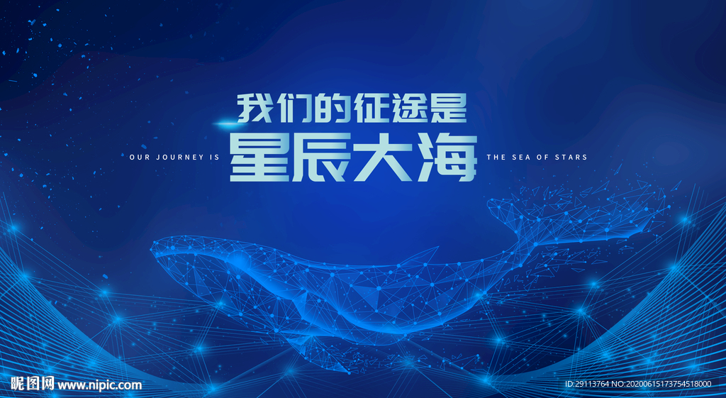 鲸鱼