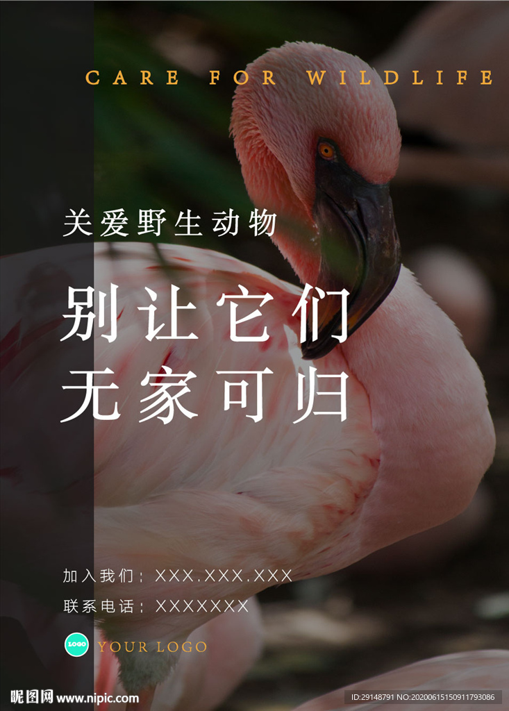 保护野生动物图片