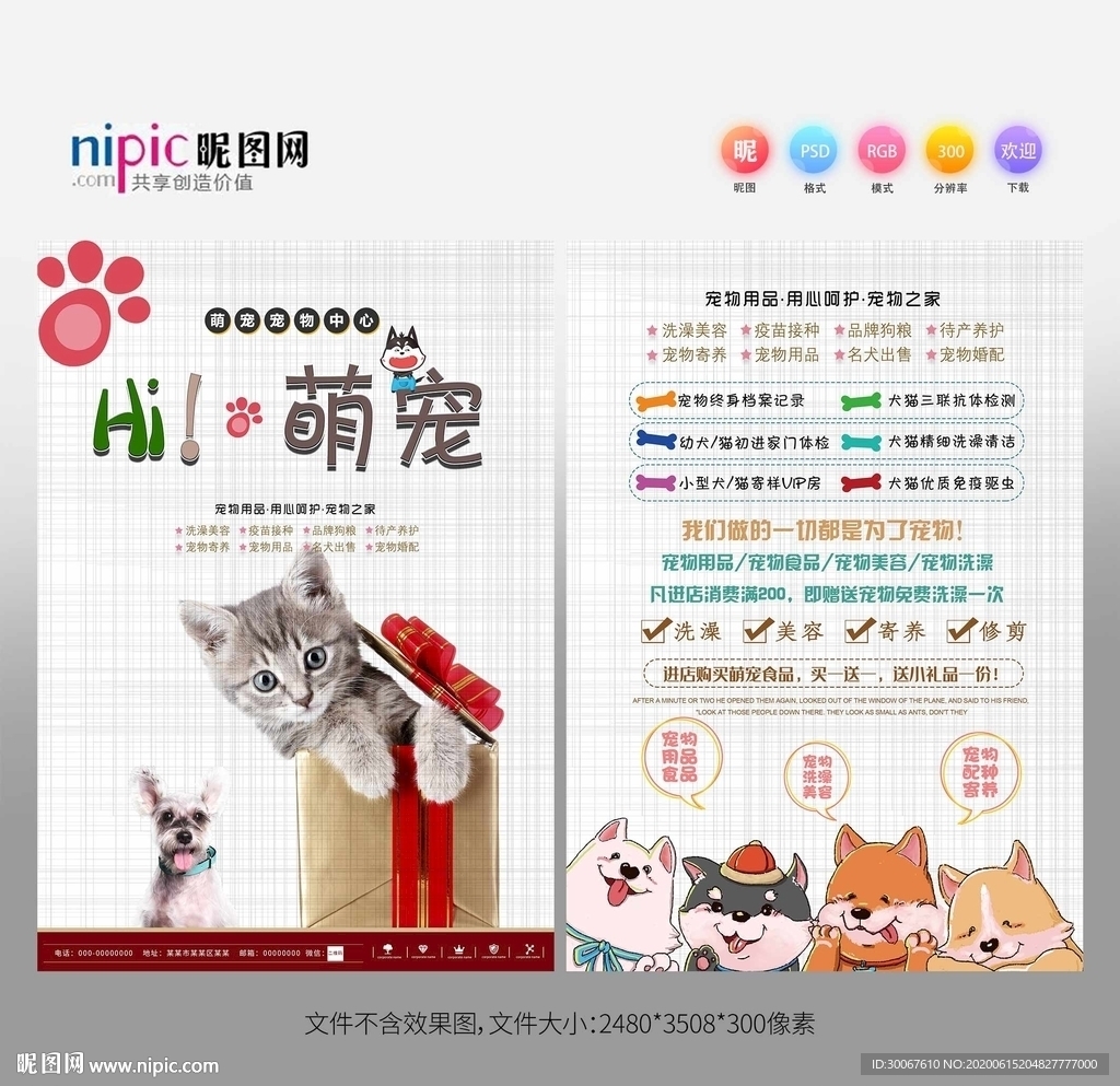 宠物宣传单