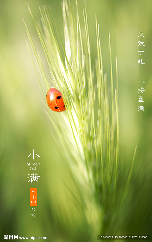 小满医美房地产海报设计电商微信