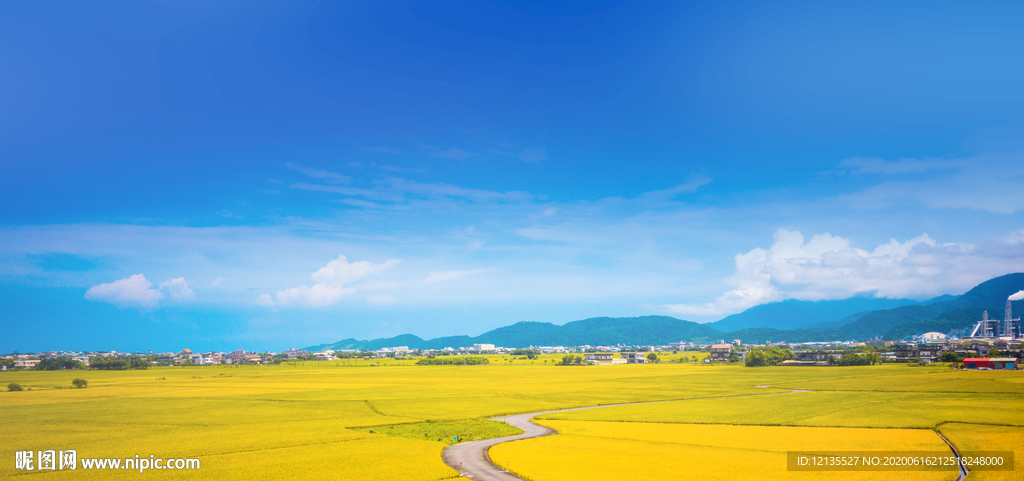 麦田