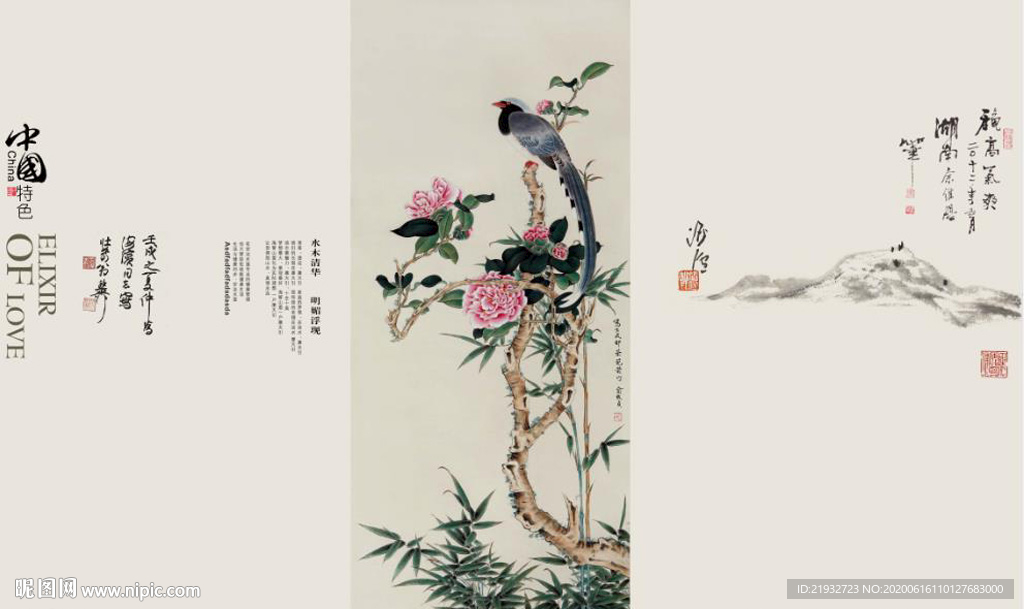 中国画牡丹花鸟