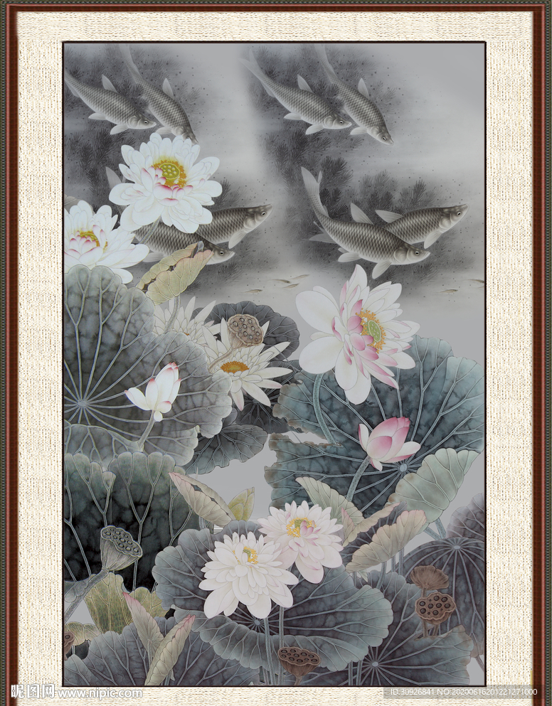 荷花鲤鱼