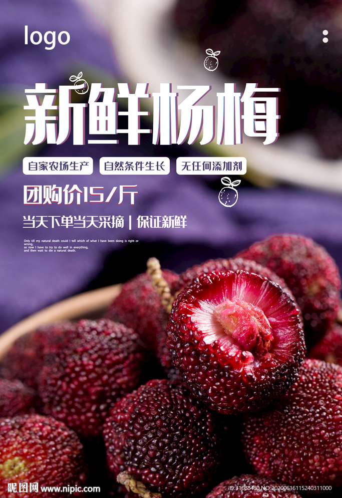 杨梅熟了海报 杨梅海报