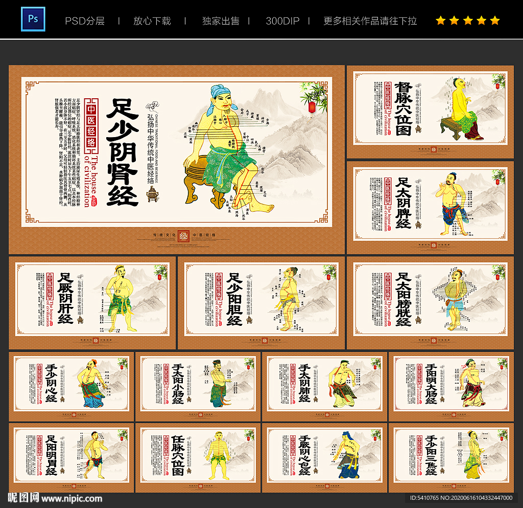 经络图