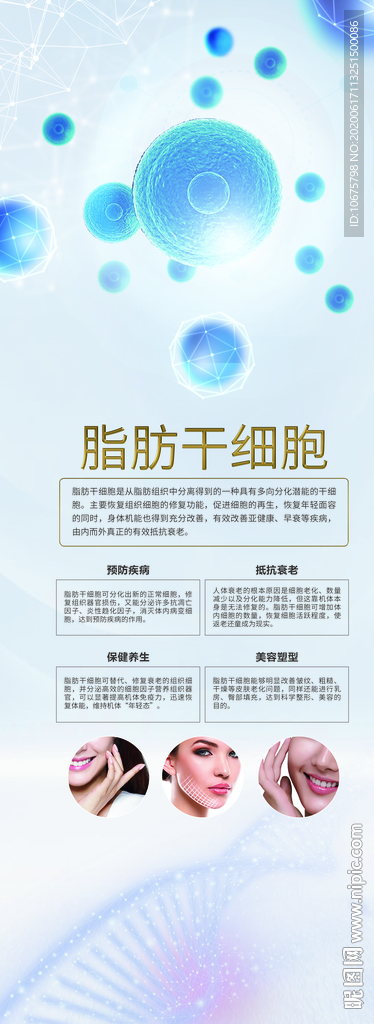 干细胞