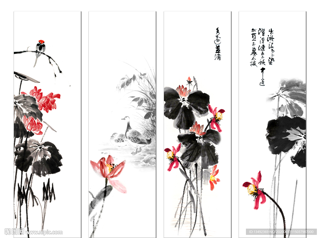 国画荷花