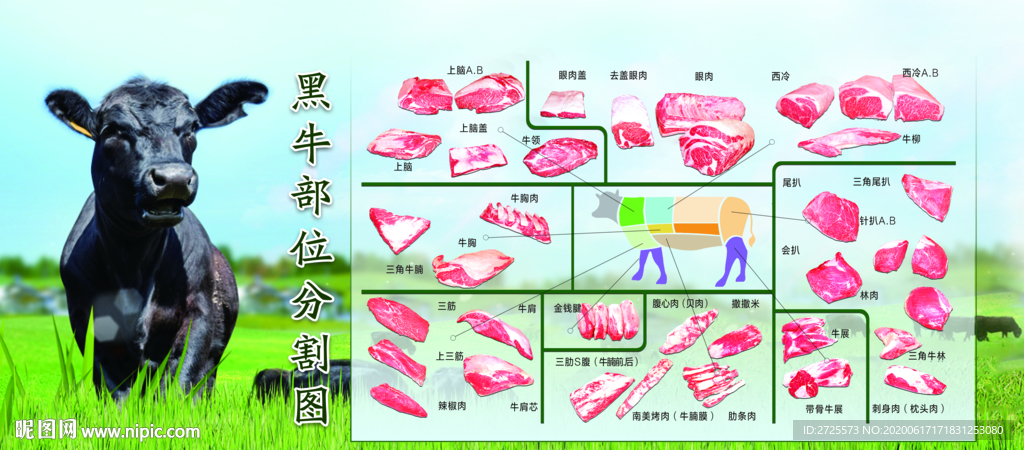 黑牛分割部位图