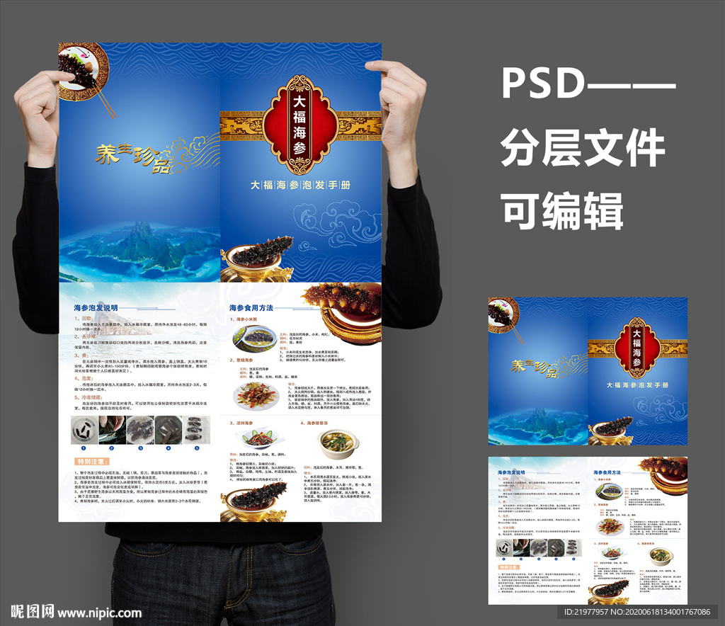 海参对折页
