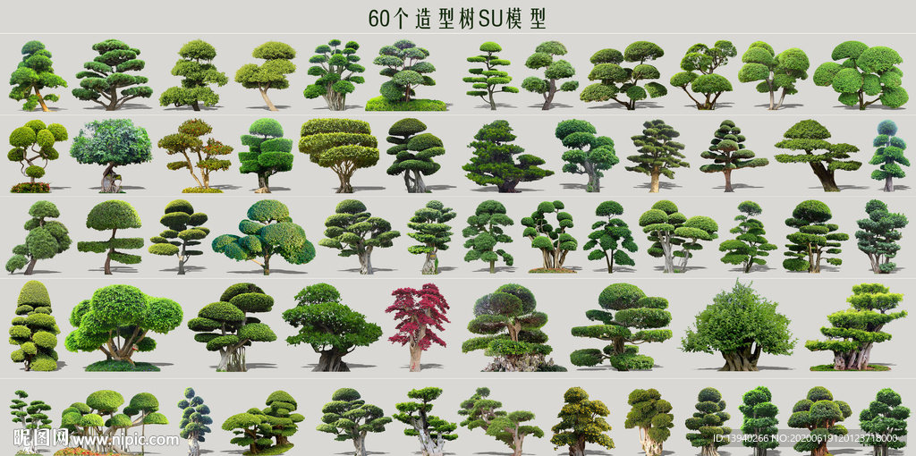造型树