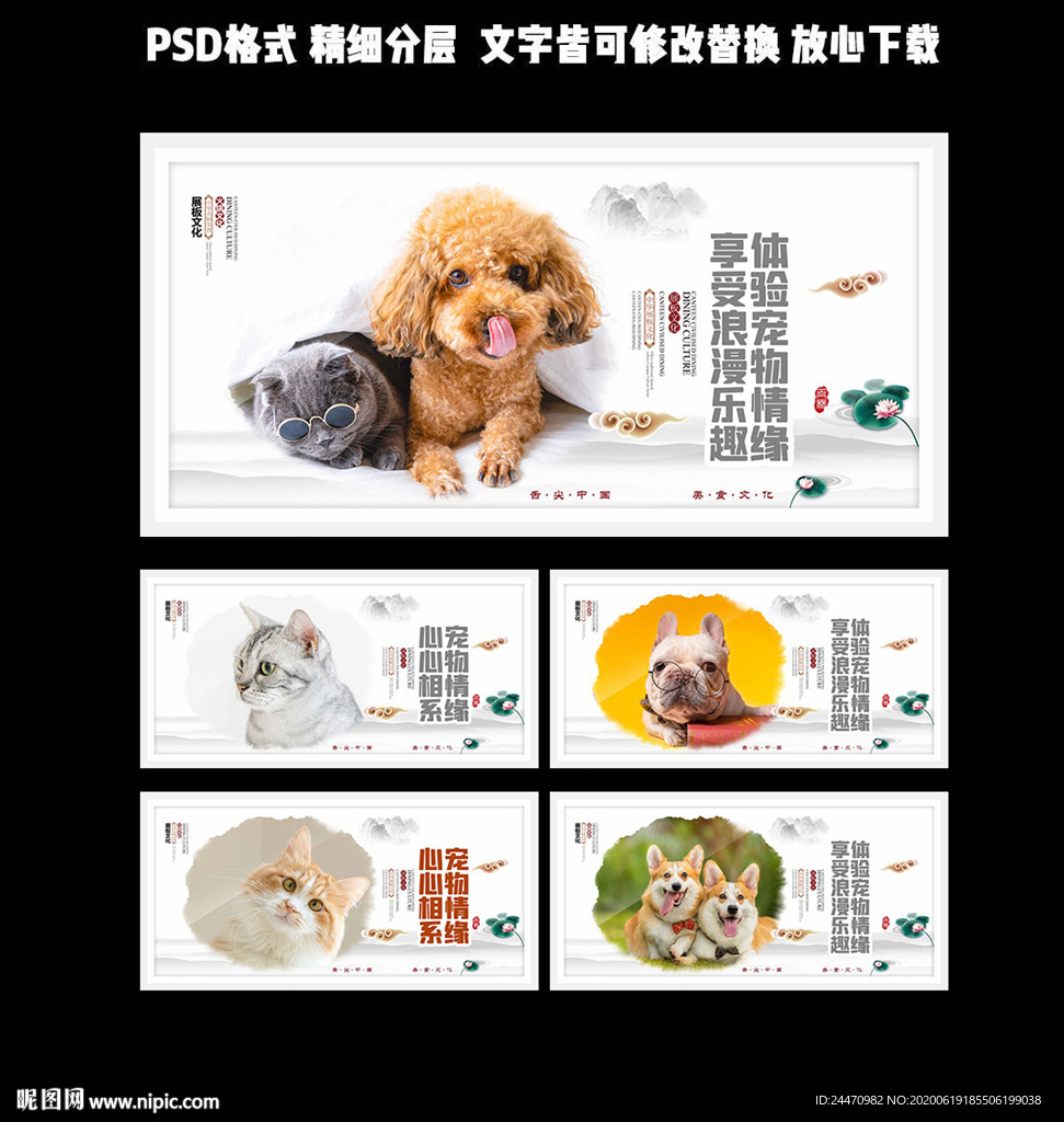 宠物