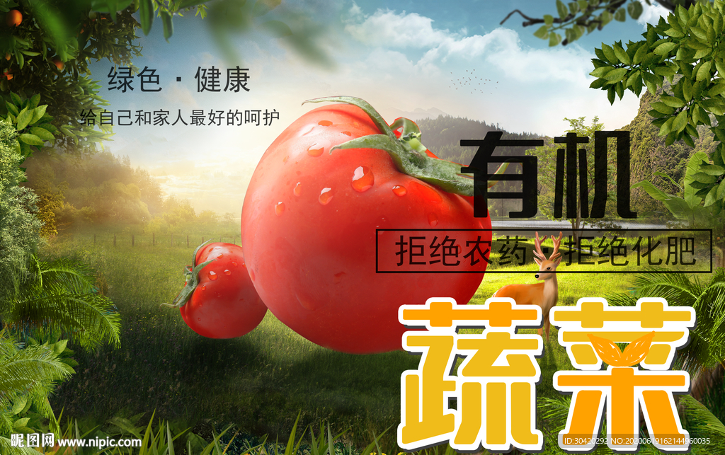 有机蔬菜