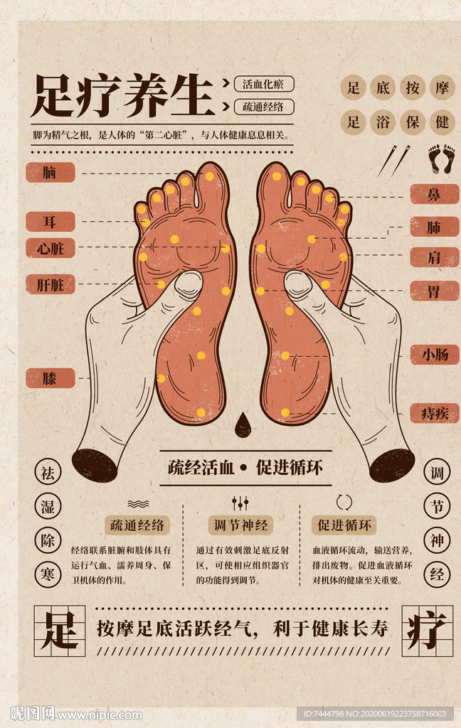足疗养生足底按摩穴位复古手绘插