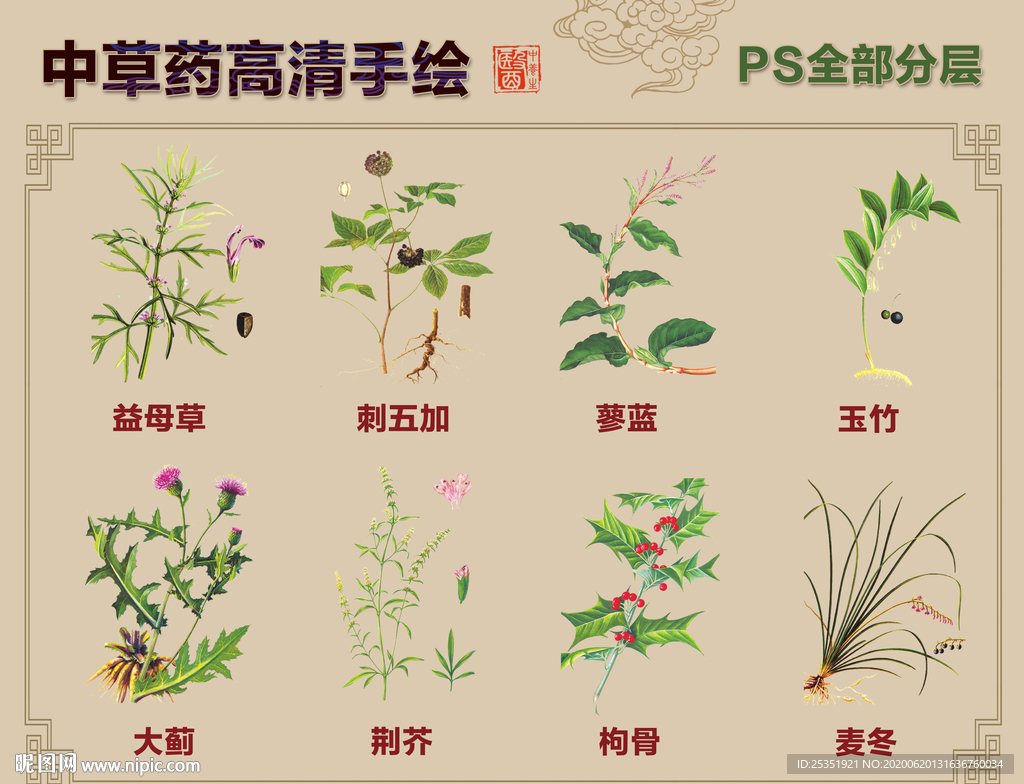 中药草手绘