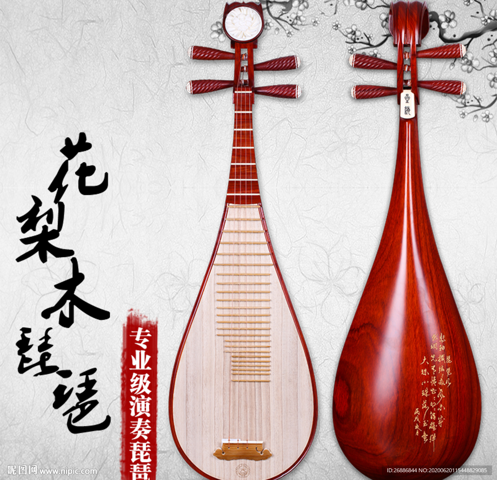 琵琶音乐民乐乐器独奏音乐会