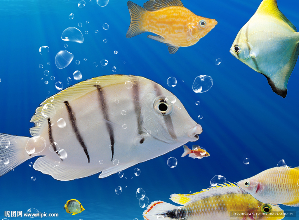 海底生物