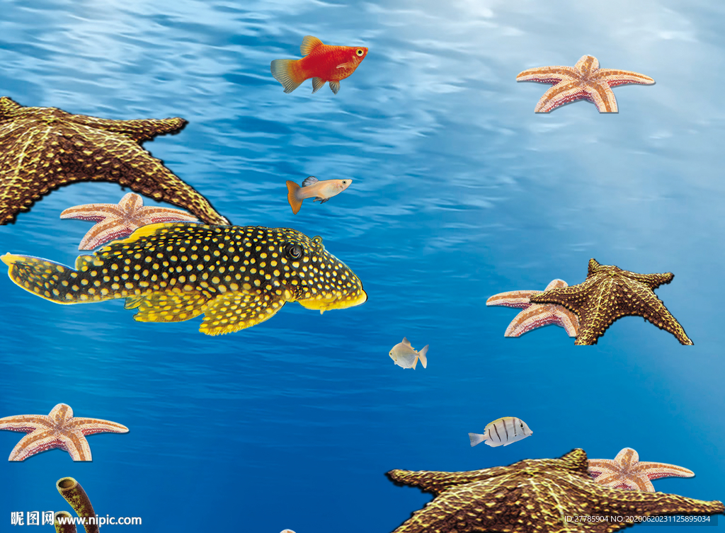 海底生物