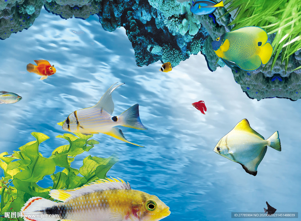 海底生物