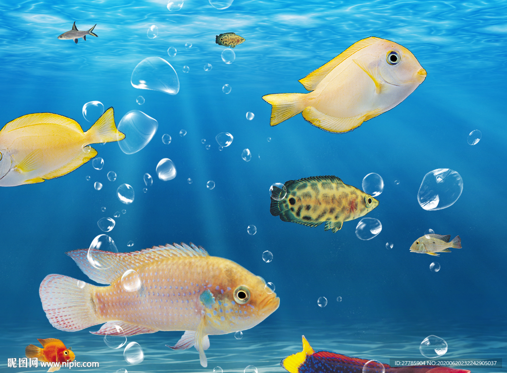 海底生物
