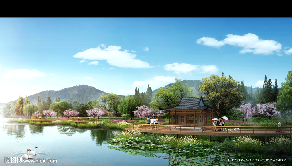 湿地公园效果