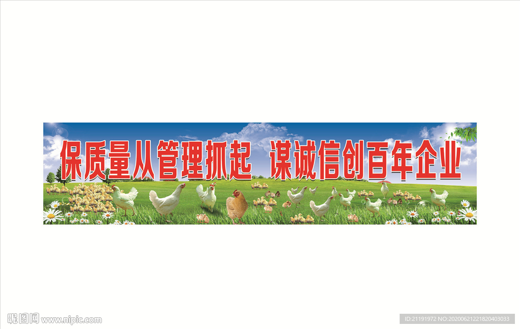 小鸡母鸡海报 禽业宣传