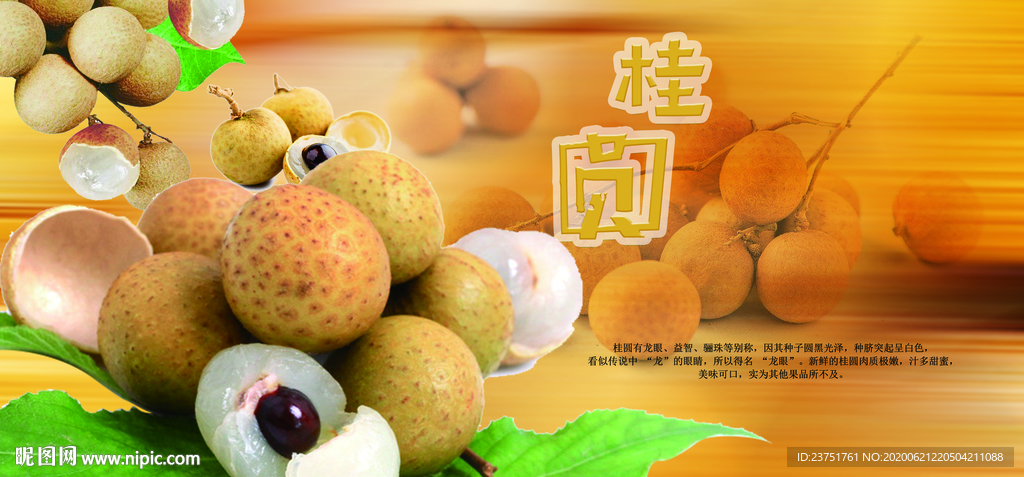 龙眼广告