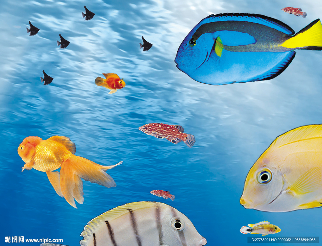 海底生物