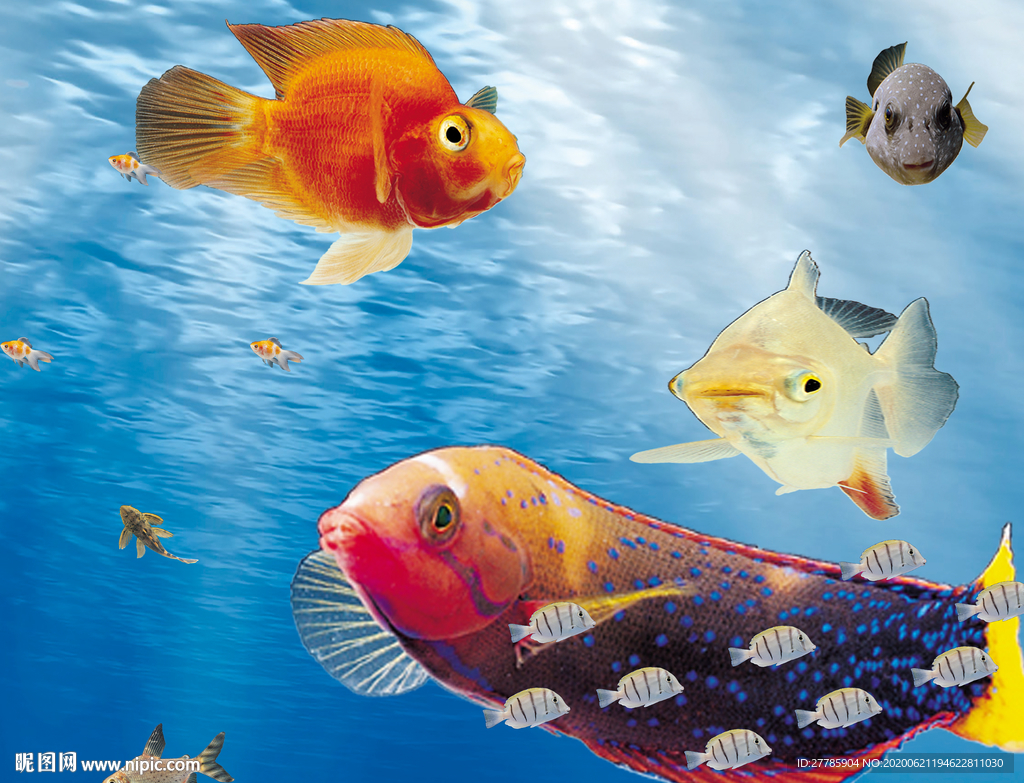 海底生物