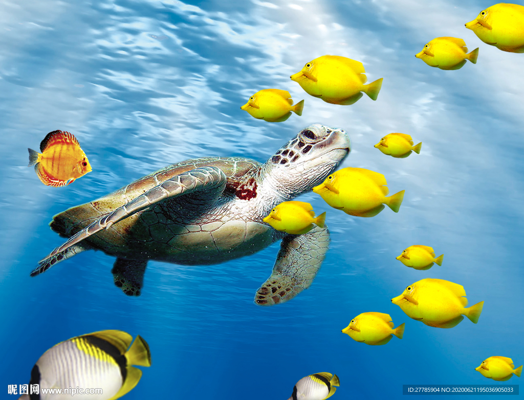 海底生物