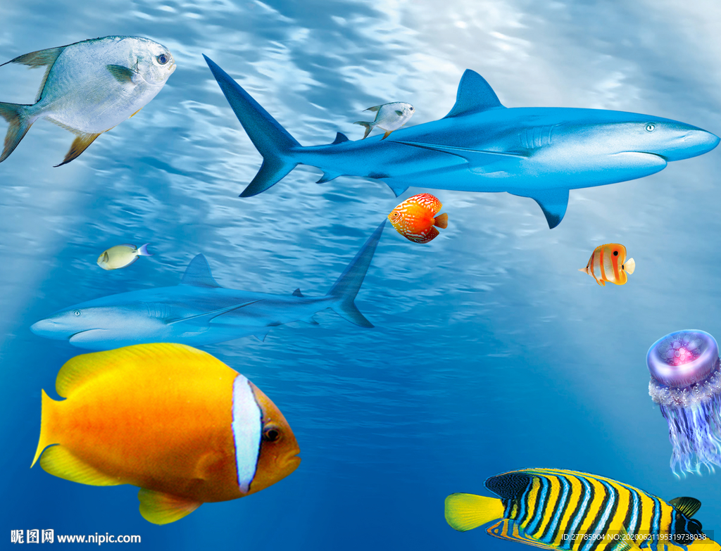 海底生物