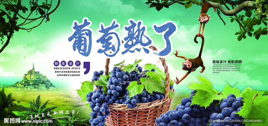采摘葡萄海报 葡萄熟了展板