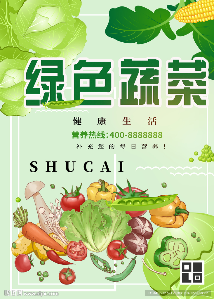 绿色蔬菜 有机食品
