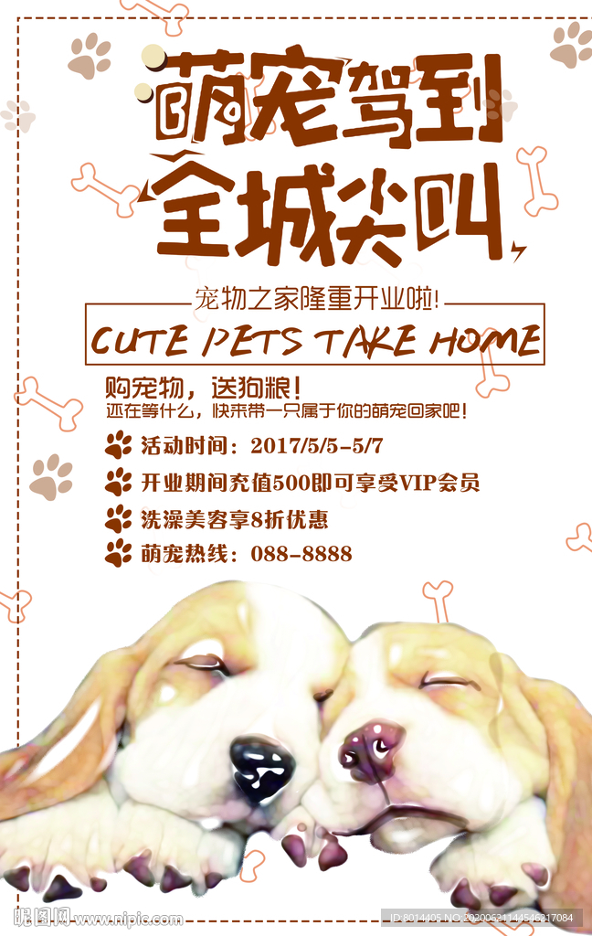 宠物来了