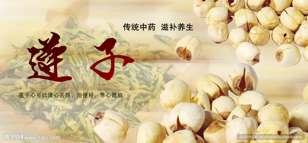 莲子