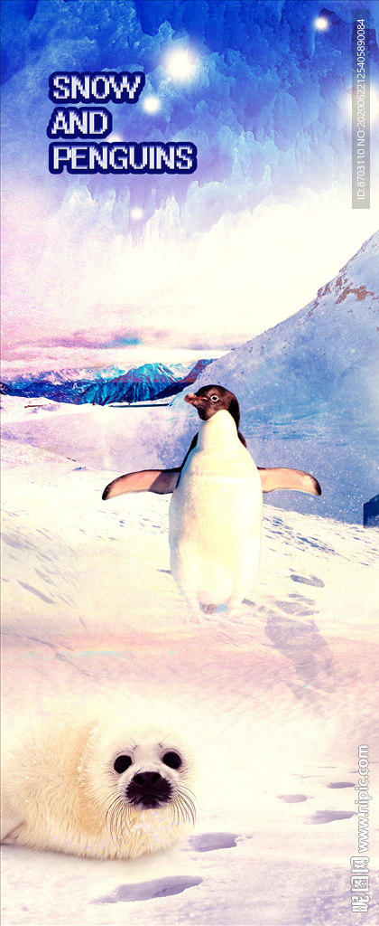 企鹅装饰画 可爱海狮