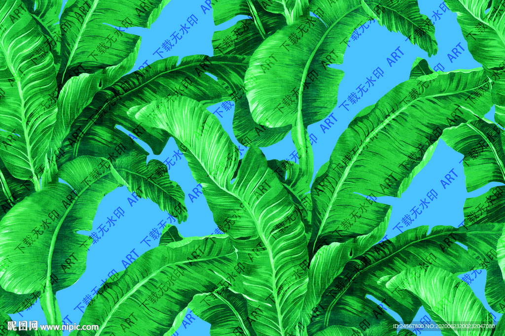 芭蕉叶 热带叶 数码印花扫描版