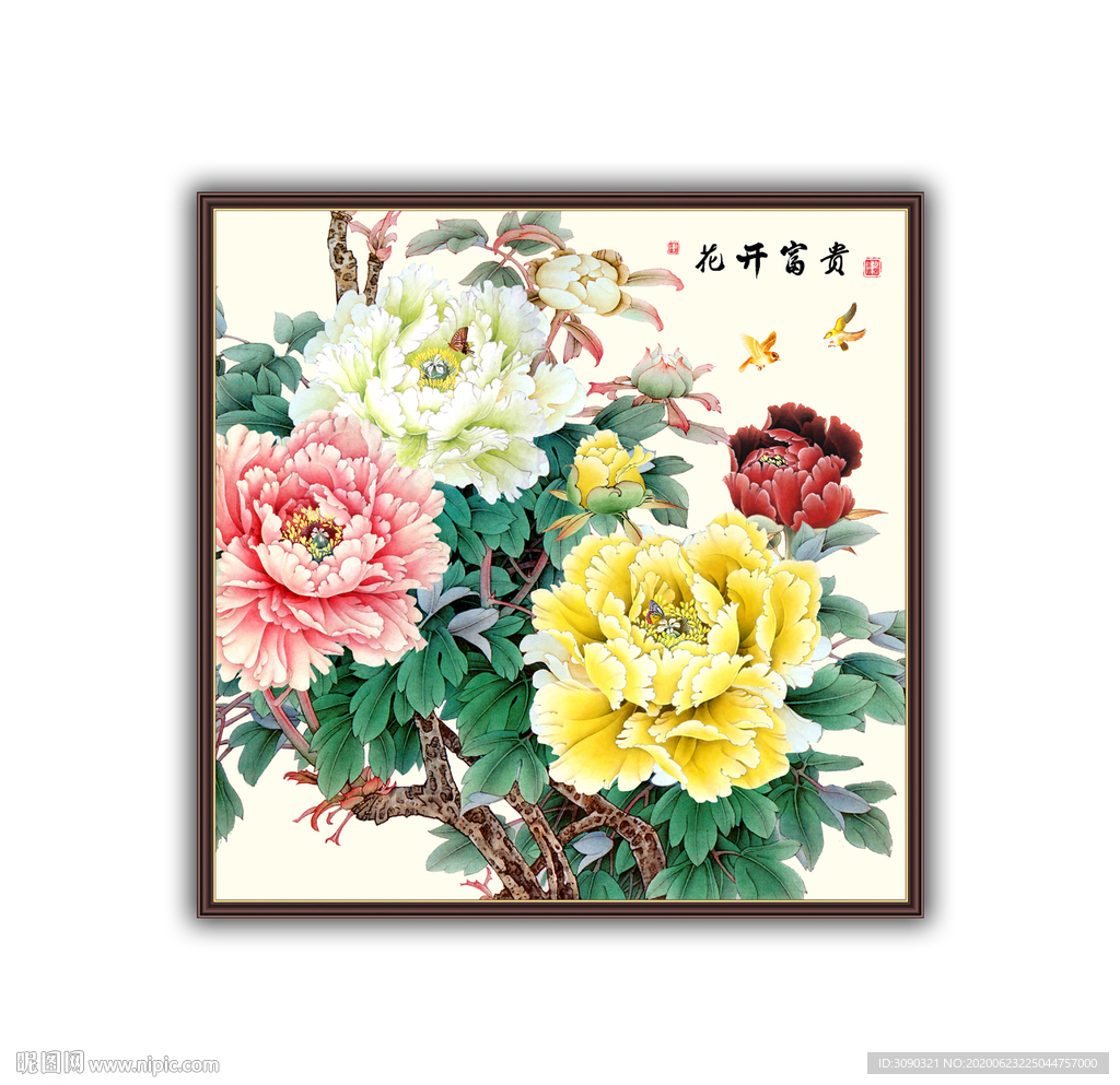 富贵花开