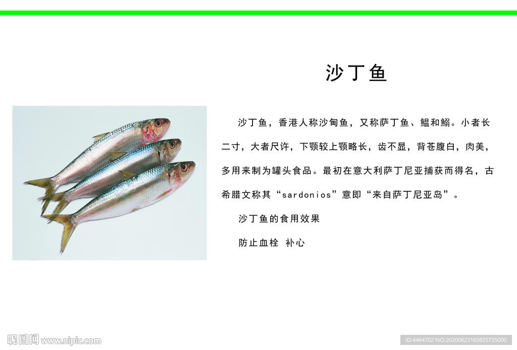 沙丁鱼