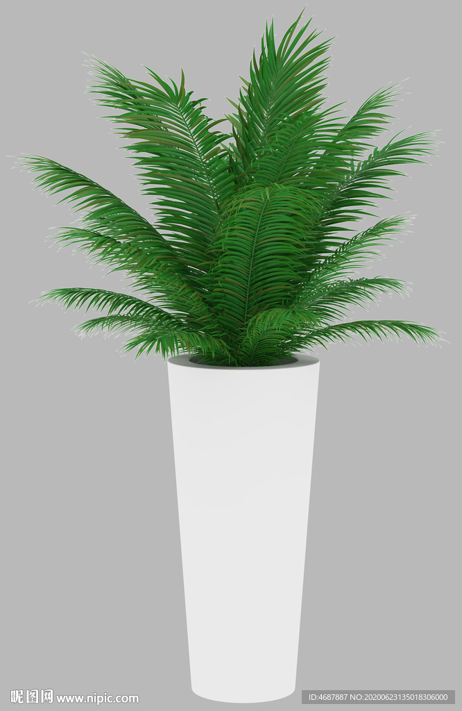 植物盆栽