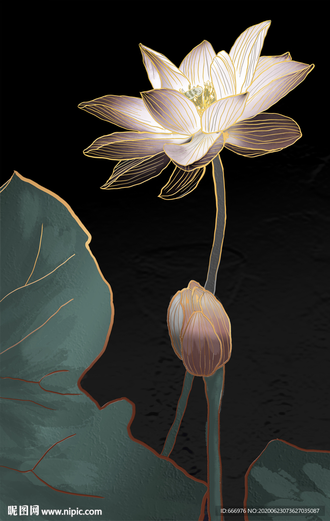 荷花之光