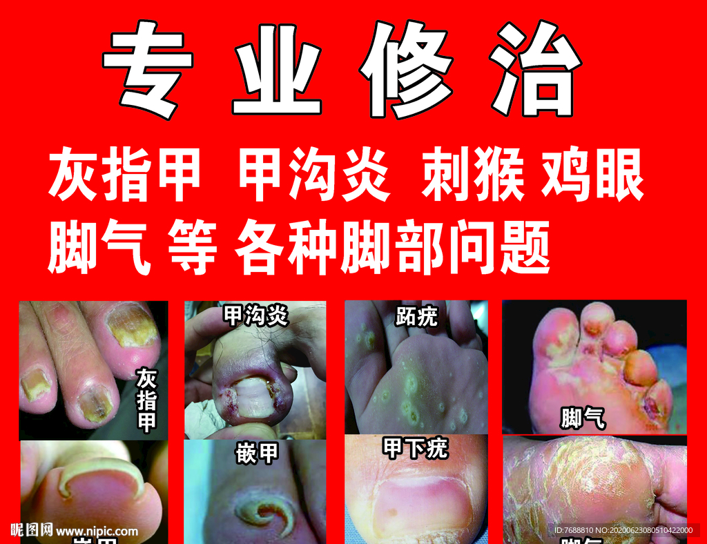 专业修治