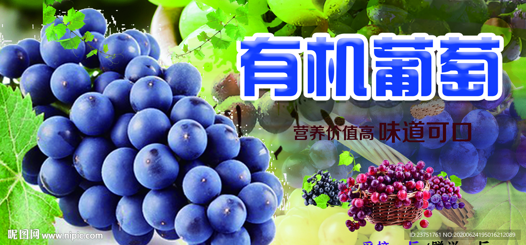 葡萄