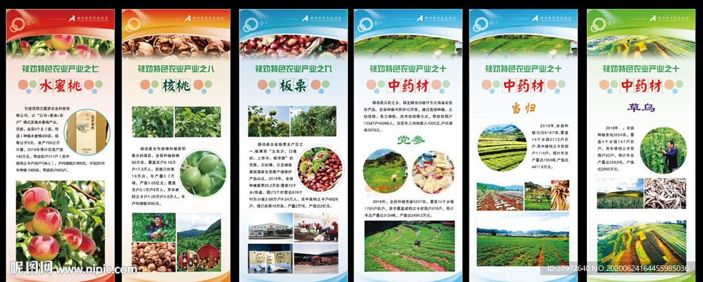 农业中药材水果展板